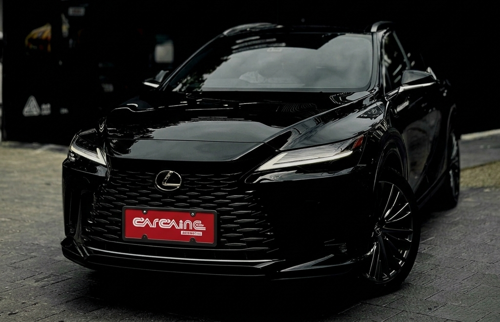 Ceramic Coating Results